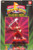 Mighty Morphin Power Rangers Red Ranger 3" Figure
