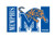 NCAA Memphis Tigers 3-by-5 Foot Flag with Grommets
