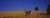 Posterazzi Side profile of a Mule deer standing in a field Montana USA Poster Print (18 x 7)
