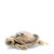 Steiff National Geographic - Keyring Tortoise, Brown/Green, 5" Plush