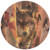 Thirstystone Stoneware Birch Wolf Coaster, Multicolor