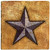 Thirstystone Ambiance Travertine Coaster, Multicolored, Western Star