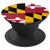Maryland State Flag the Old Line State