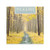 DaySpring Psalms Trees - 2020 Wall Calendar