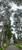 Trees both sides on a path leading to a church Sete Cidades Ponta Delgada Sao Miguel Island Azores Portugal Poster Print by Panoramic Images (30 x 13)