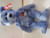 Ty Beanie Babies - Peace the Bear - Tye Died - Retired