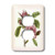 3dRose lsp_44839_6 Victorian Pink Rose Outlet Cover