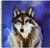 3dRose db_3347_1 Wolf Drawing Book, 8 by 8-Inch