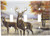 Art Plates - White Tail Deer Switch Plate - Triple Toggle