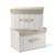 EZ GENERATION Storage Bins Set, Storage Baskets Pack of 2 Foldable Storage Boxes Cubes with Lids, Fabric Storage Bin Organizer Collapsible Box Containers for Nursery,Closet,Bedroom,Home(Cream Stripe)