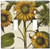 Art Plates - Sunflowers Switch Plate - Double Toggle