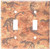 Art Plates - Dinosaur Fossils Switch Plate - Double Toggle