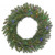 Vickerman Durango Spruce Wreath with 105 Green PVC Tips & 50 LED Lights on Green Wire, 20", Multicolored