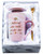 Mugpie She Believed She Could So She Did Coffee Mug - Congratulations Graduation Gifts for Her Women Girl Daughter College Nursing - Cute Motivational Inspiritional 12.5oz Pink Ceramic Cup + Gift Box