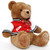 FAO Schwarz Anniversary Bear