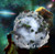 Posterazzi PSTRFF200093S Abstract exoplanet. Nebulae, Stars, Galaxies. Vivid Colors Photo Print, 11 x 17, Multi