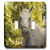 3dRose lsp_202411_2 Animal Horse Double Toggle Switch
