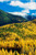 Posterazzi Autumn color larch pine tree forest Flathead River Valley Montana USA. Poster Print, (12 x 36)