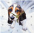 3dRose LLC Basset Hound Desk Clock, 6 by 6-Inch