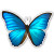 AK Wall Art Blue Morpho Butterfly Beautiful Vinyl Sticker - Car Window Bumper Laptop - Select Size