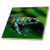 3dRose ct_10382_3 Blue N Brown Tree Frog on A Leaf Ceramic Tile, 8"