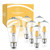 Dimmable LED Edison Light Bulbs: 6 Watt, 2700K Soft White Lightbulbs - 60W Equivalent - E26 Base - Vintage Light Bulb Set - 6 Pack