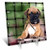 3dRose LLC Brindle Boxer Puppy Desk Clock, 6 by 6-Inch