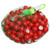 Hayes Specialties Corp. Raffle Balls Number Set (101-200)