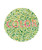 Posterazzi Color Blindness Test Poster Print by Spencer Sutton/Science Source, (18 x 24), Varies