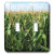 3dRose lsp_44769_2"Cornfield N Blue Skies Toggle Switch