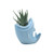 Youfui Succulent Planter Pots Shark Bonsai Cactus Flower Pencil Holder Home Garden Pot Desk Mini Plant Vase Flowerpot (Light Blue)