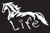 Chase Grace Studio Horse Life Rodeo Western Cowboy Cowgirl Vinyl Decal Sticker|White|Cars Trucks Vans SUV Laptops Tool Box Wall Art|5.5" X 4"|CGS187 Chase Grace Studio Horse Life Rodeo Western Cowboy Cowgirl Vinyl Decal Sticker|White|Cars Trucks Vans SUV Laptops Tool Box Wall Art|5.5" X 4"|CGS187
