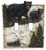 LL Home 15069 Bear on Birch Double Switch Cover
