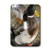 3dRose lsp_19128_1 Mallard Duck Light Switch Cover
