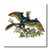 3dRose ht_156678_1 Archaeopteryx Colorful Feathered Dinosaur Art On White Background-Iron On Heat Transfer, 8 by 8", for White Material
