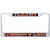 Desert Cactus University of Illinois UI Fighting Illini NCAA Metal License Plate Frame for Front or Back of Car Officially Licensed (Mascot)