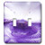 3dRose lsp_29176_2 Extreme Purple and White Iris Double Toggle Switch