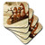 3dRose CST_165402_1 Foxes Using a Log As Sled Soft Coasters, Set of 4