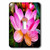 3dRose lsp_18463_1 Hot Pink Lotus Toggle Switch