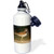 3dRose wb_84290_1"Killdeer bird, Rio Grande Valley, Texas NA02 RNU0171 Rolf Nussbaumer" Sports Water Bottle, 21 oz, White