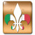 3dRose lsp_30762_2 Large Green Fluer de Lis Background Italian Toggle Switch, Red Gold Flag White