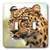 3dRose lsp_215188_2 Leopard, Wild Animal, Zoo Double Toggle Switch