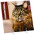 3dRose LLC Maine Coon Desk Clock, 6 by 6-Inch