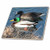 3dRose LLC Mallard Duck Couple 6-Inch Ceramic Tile