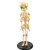 Human Skeleton Model Miniature Baby Skeleton Model for Display Study Teaching Anatomical Model and Gift for Halloween