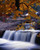 Nesowadnehunk Stream Rapids Autumn Colors Baxter State Park Poster Print (13 x 17)