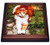 3dRose trv_574_1 Orange Cat Trivet with Ceramic Tile, 8 by 8", Brown