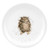 Wrendale Coupe Plate-What a Hoot (Owl), Bone China, Multi Coloured, 20.7 x 20.7 x 1 cm