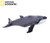 NATIONAL GEOGRAPHIC Baleen Whale Plush - Medium Size