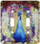 3dRose lsp_130412_2 Peacock Grunge Digital Art by Angelandspot Double Toggle Switch